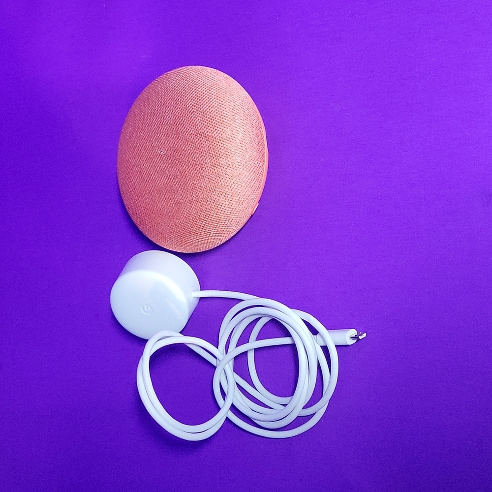 Google Home Mini 'Coral!